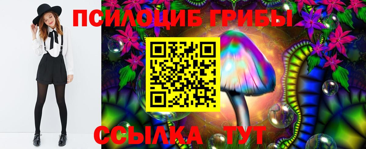 Ачхой-Мартан  купить   Вход с VPN  Галлюциногенные грибы MAGIC MUSHROOMS 