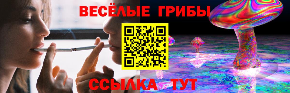 Галлюциногенные грибы GOLDEN TEACHER  Ачхой-Мартан  Псилоцибиновые грибы Psilocybe 