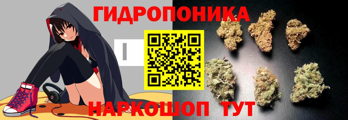 Бошки марихуана AK-47  Вход с VPN  Каннабис конопля  Бошки марихуана тримм  Ачхой-Мартан 